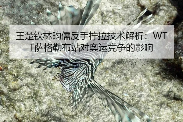 wang-chu-qin-lin-yun-ru-fan-shou-ning-la-ji-shu-jie-xi-sa-ge-lei-bu-zhan-dui-ao-yun-jing-zheng-de-ying-xiang-1-946.jpg